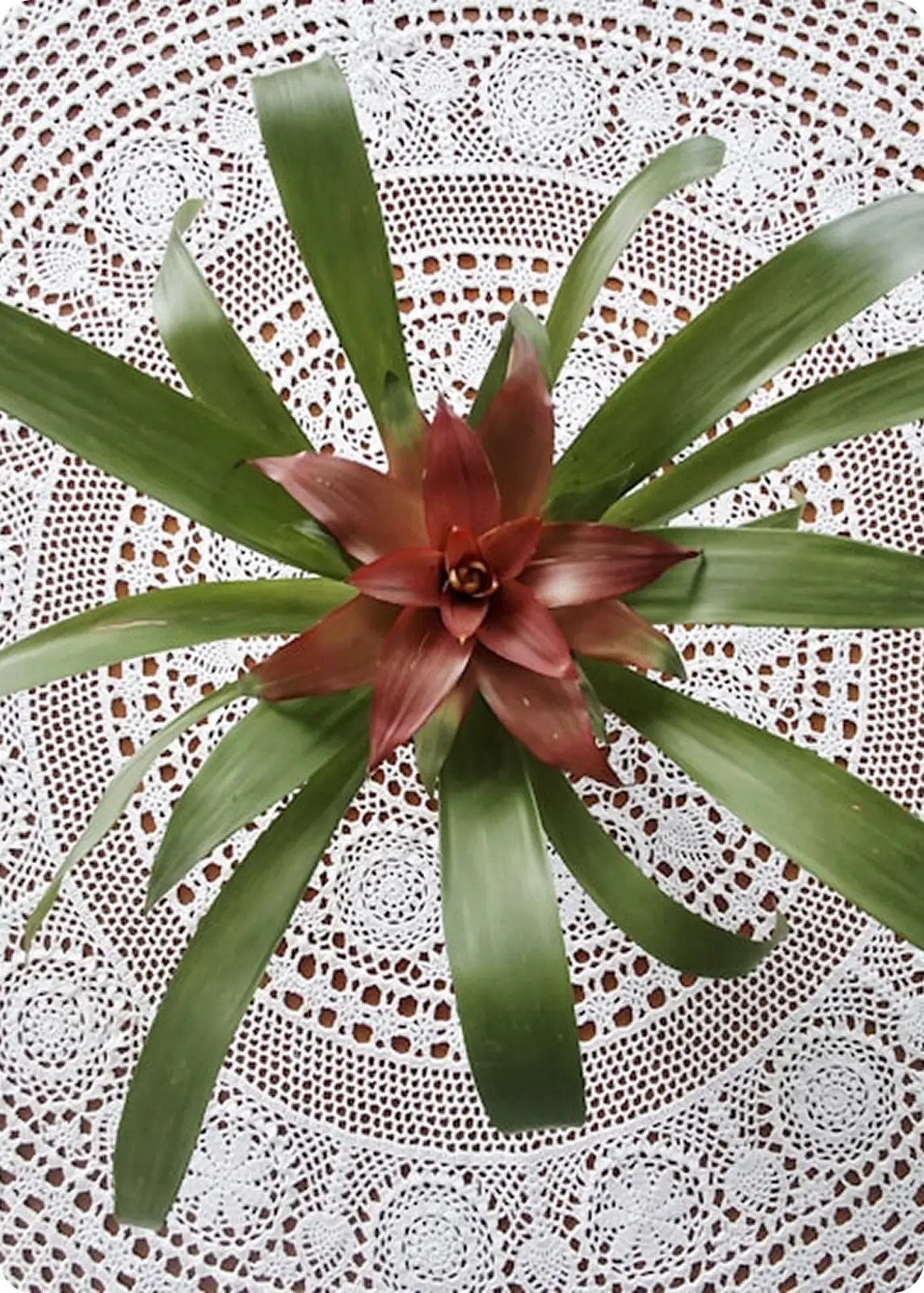 Home furnishing fabrics