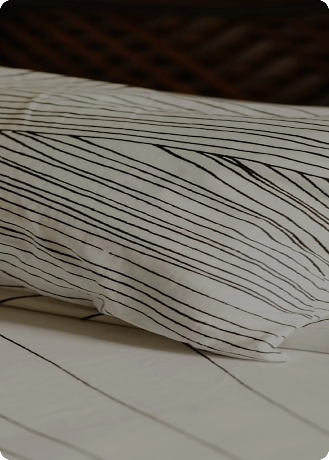 Pillows & pillow covers